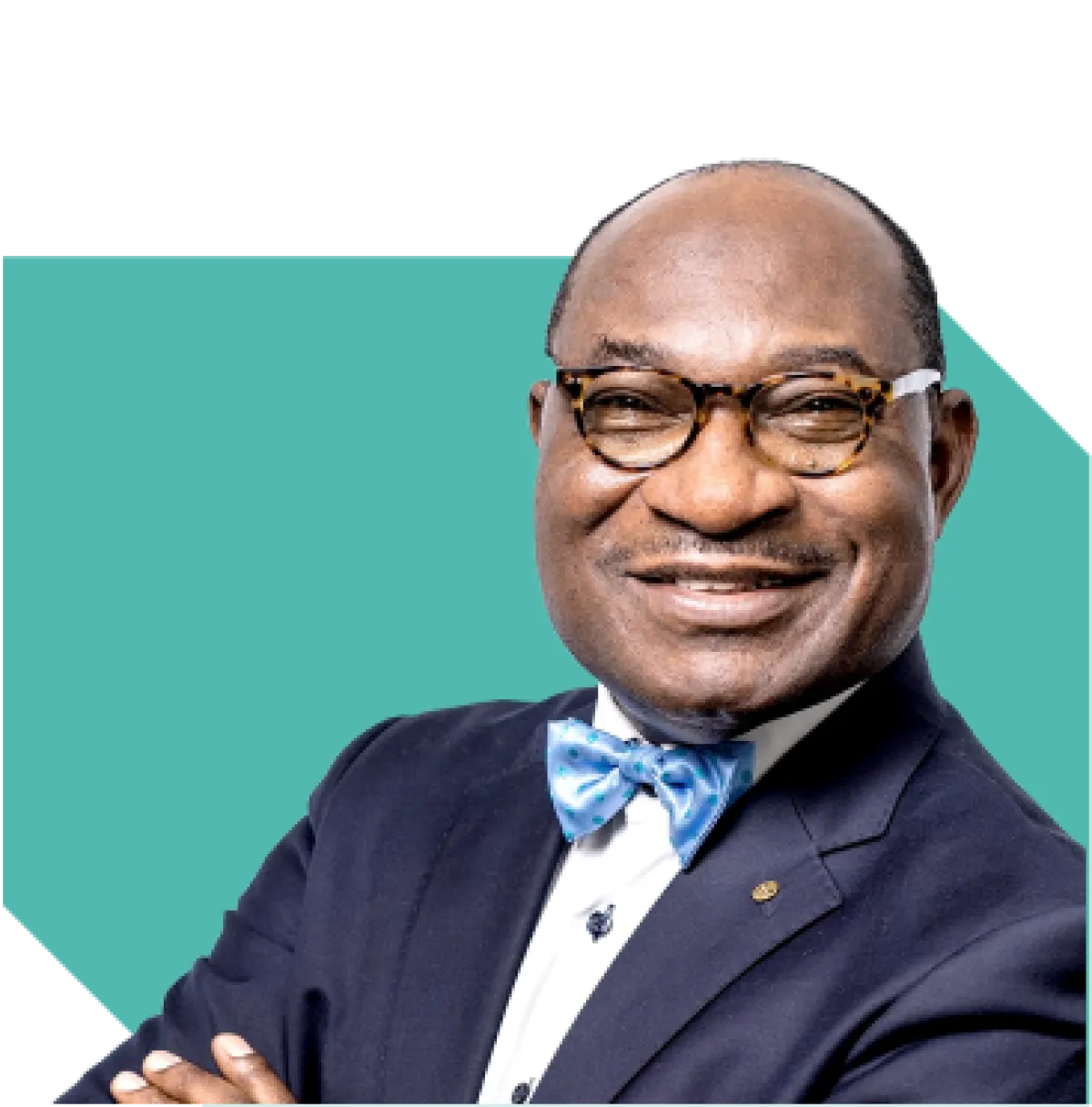 Dr Nelson Ogunshakin OBE